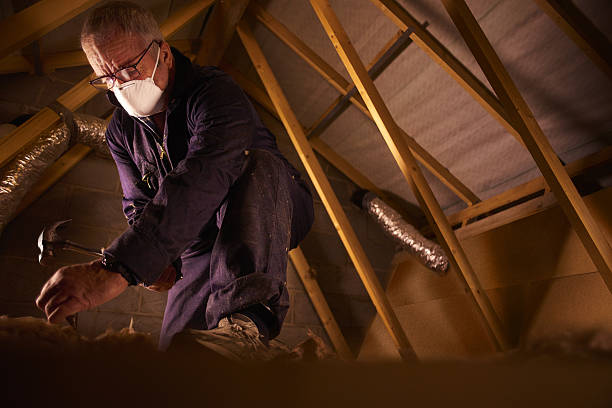  Cove Creek, NC Insulation Contractor Pros
